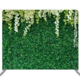 Evergreen Forest backdrop